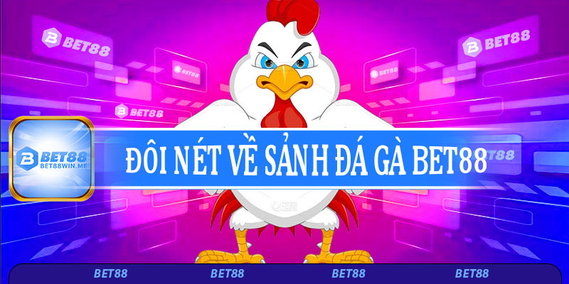 Đôi nét về sảnh đá gà Bet88