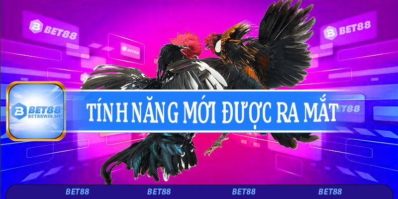 Tính năng mới được ra mắt trong sảnh đá gà Bet88